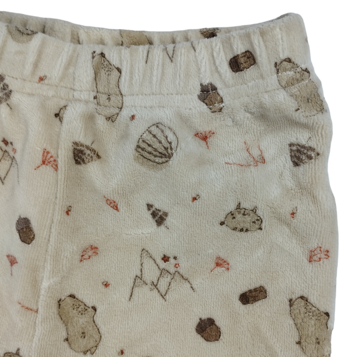 Conjunto / 6 meses