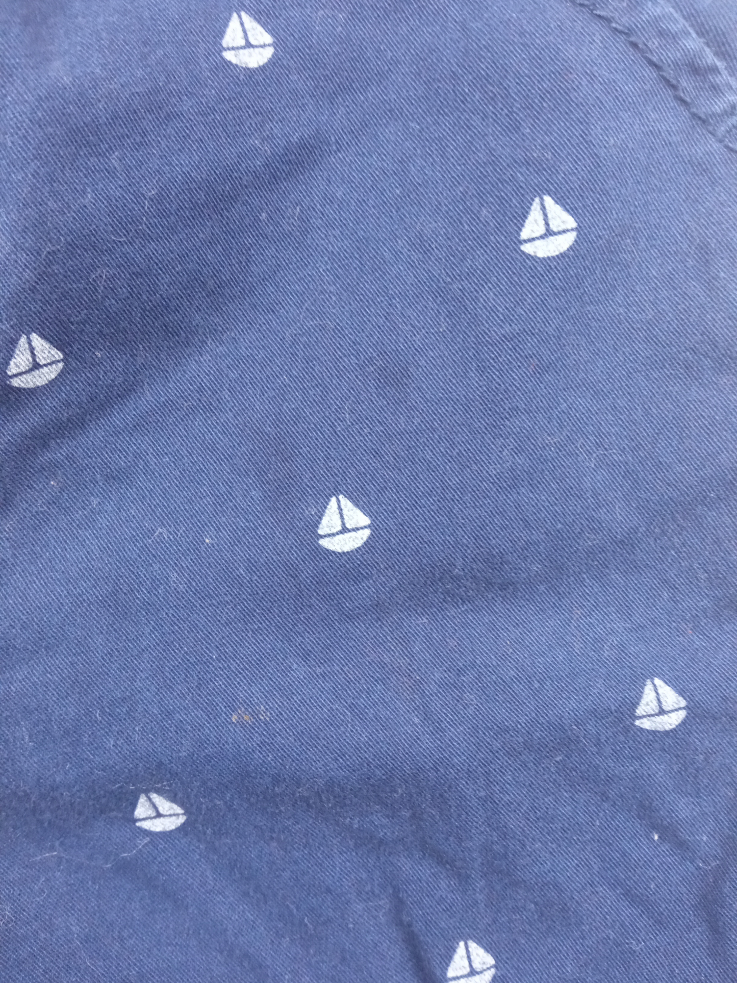 Short / 12 meses