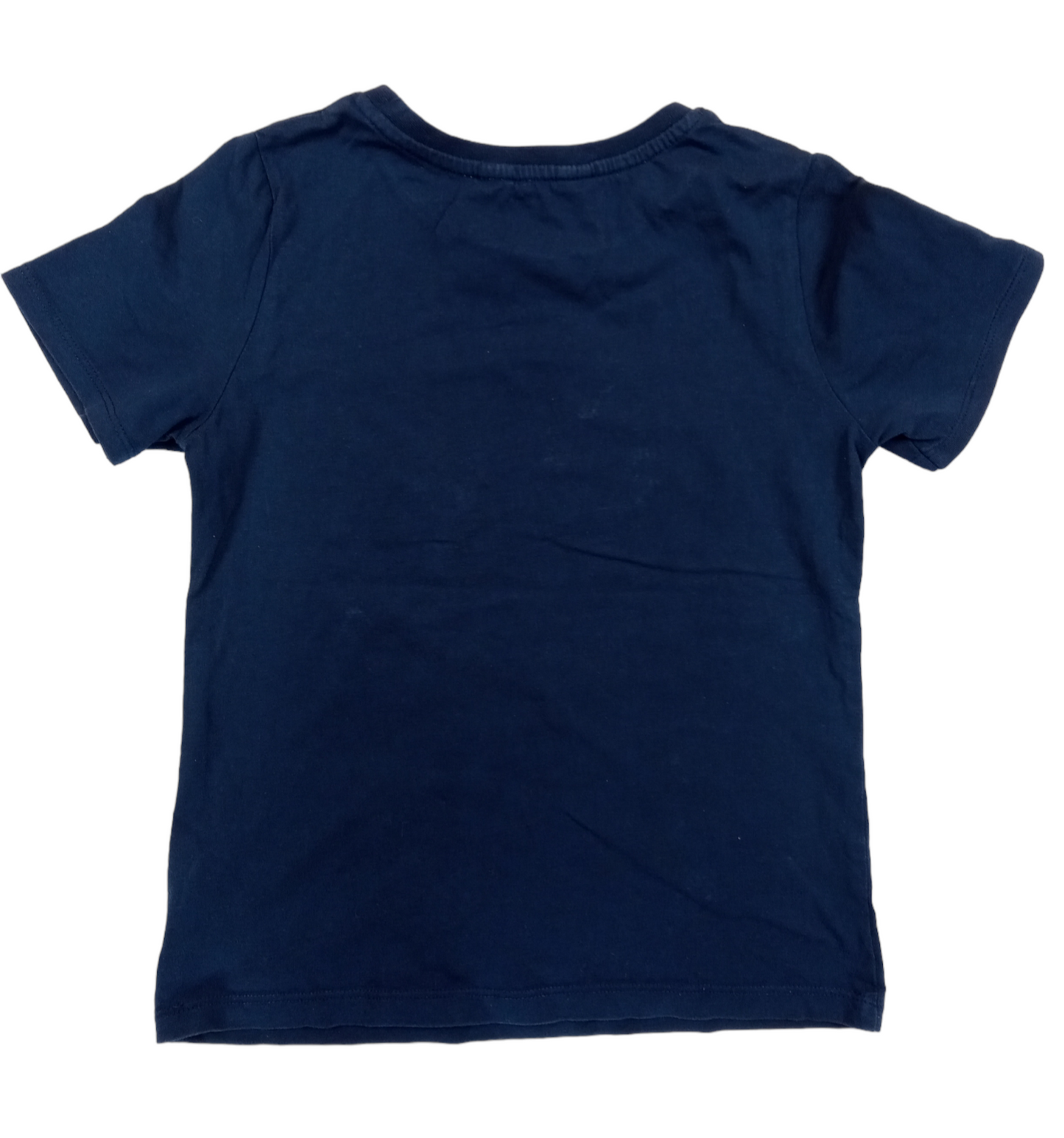 Polera dinosaurio/ talla 6-8
