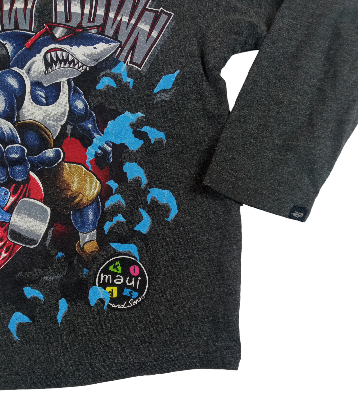 Polera manga larga / Talla 6