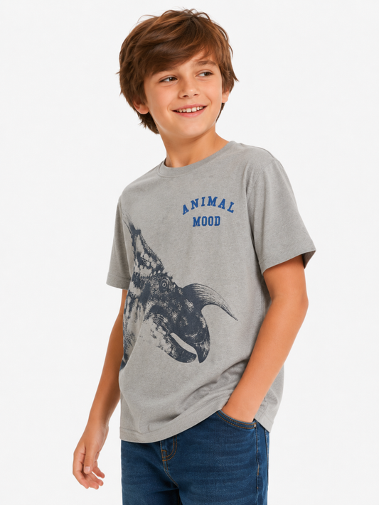 Polera estampada Dino/ Talla 9 años