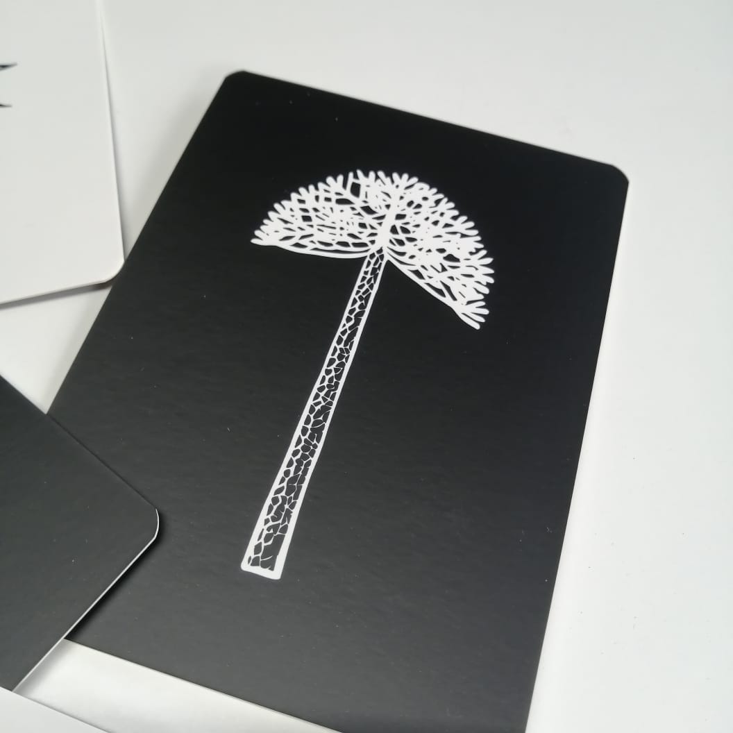Tarjetas Ilustrativas de alto contraste Voqui