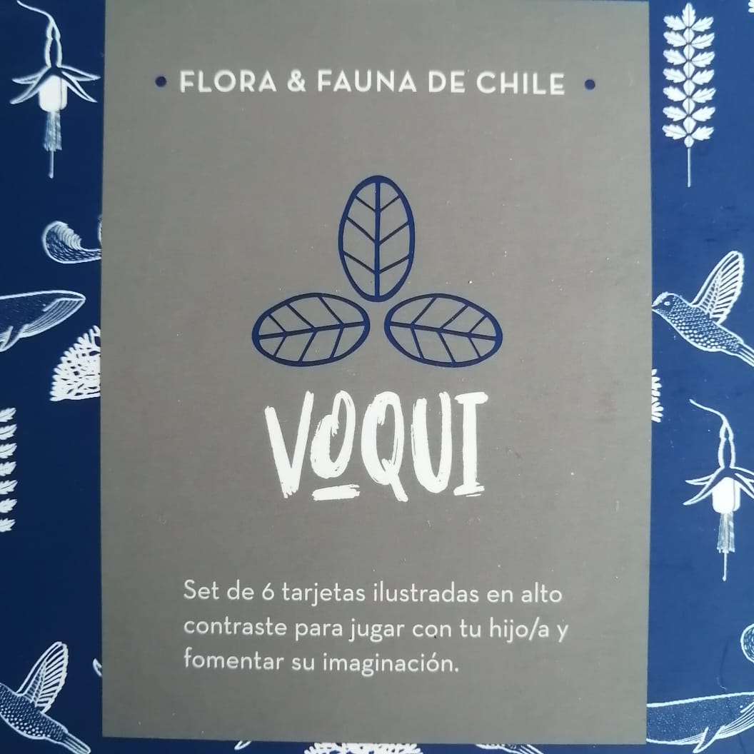 Tarjetas Ilustrativas de alto contraste Voqui