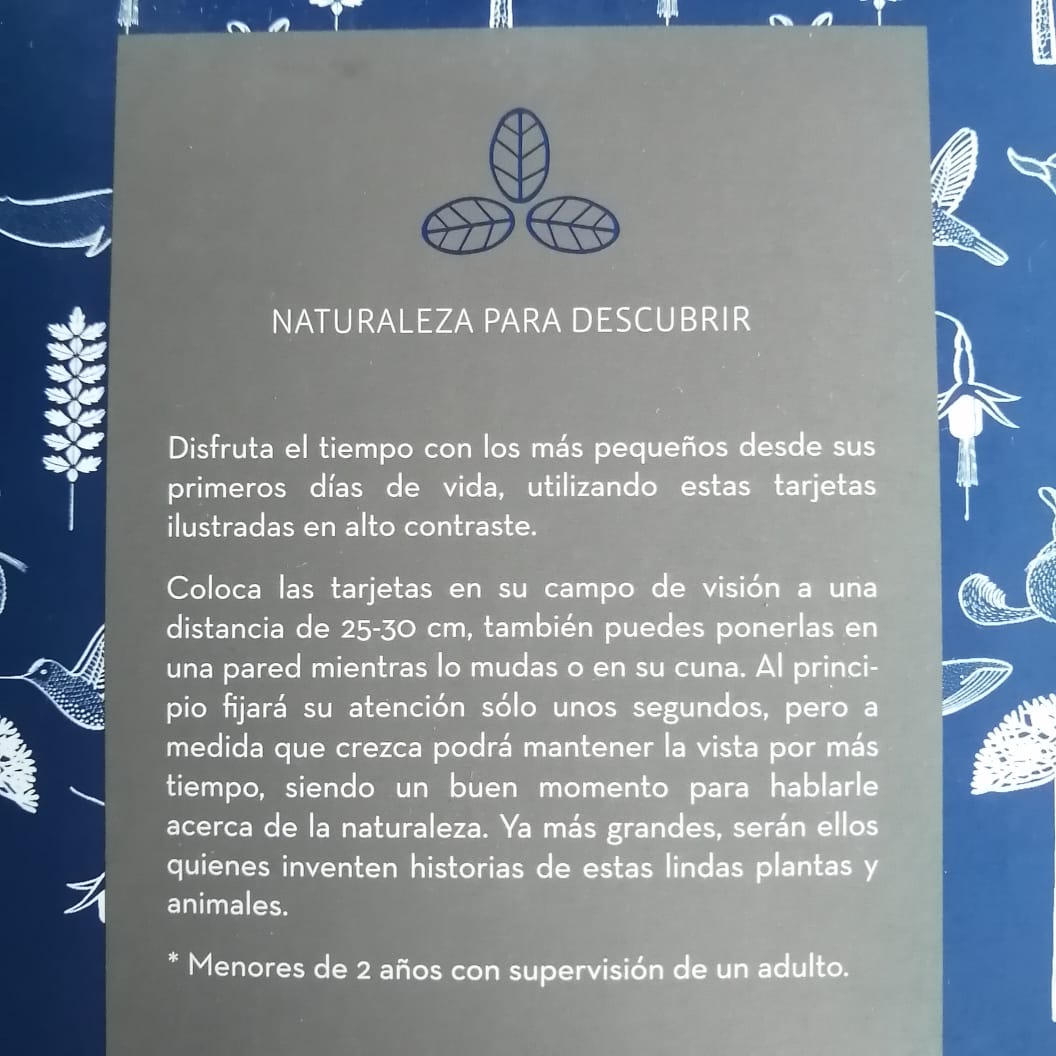 Tarjetas Ilustrativas de alto contraste Voqui