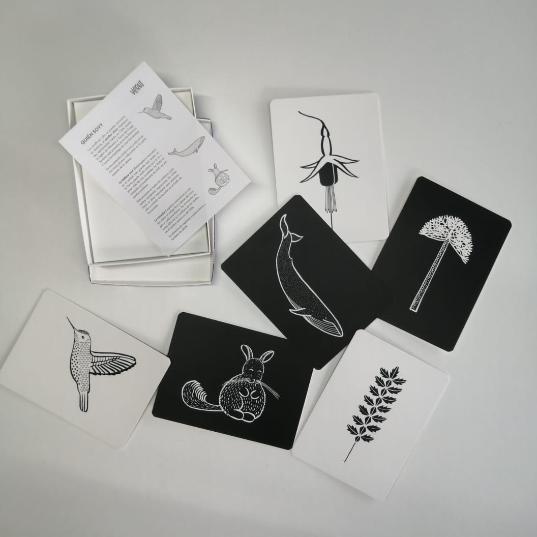 Tarjetas Ilustrativas de alto contraste Voqui