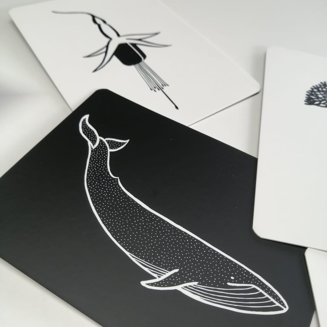 Tarjetas Ilustrativas de alto contraste Voqui
