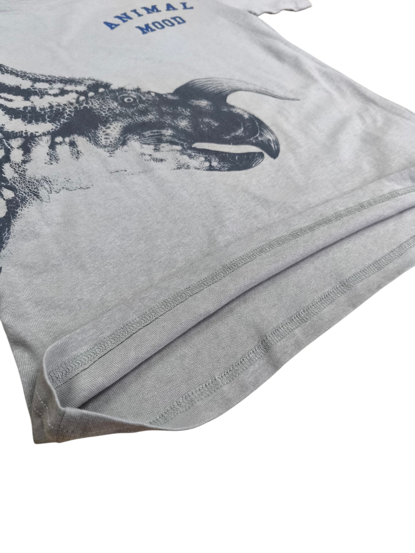 Polera estampada Dino/ Talla 9 años