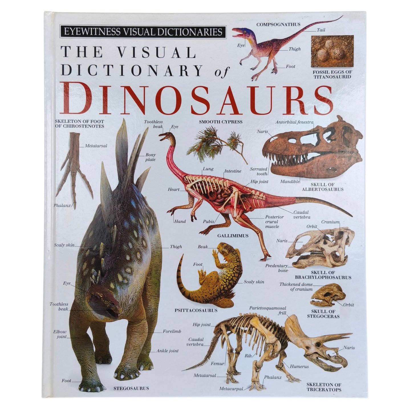 Libro de Dinosaurios - The Visual Dictionary of Dinosaurs