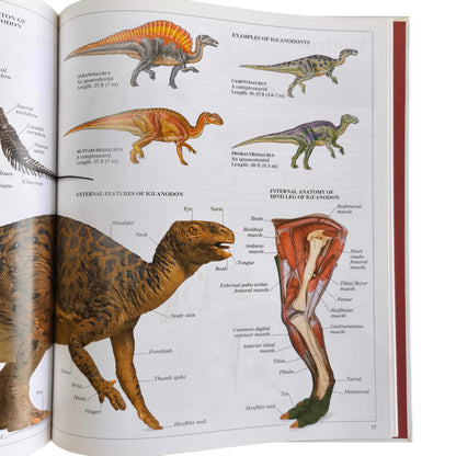 Libro de Dinosaurios - The Visual Dictionary of Dinosaurs