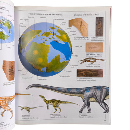 Libro de Dinosaurios - The Visual Dictionary of Dinosaurs