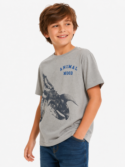 Polera estampada Dino/ Talla 9 años