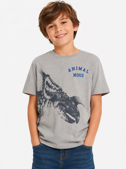 Polera estampada Dino/ Talla 9 años